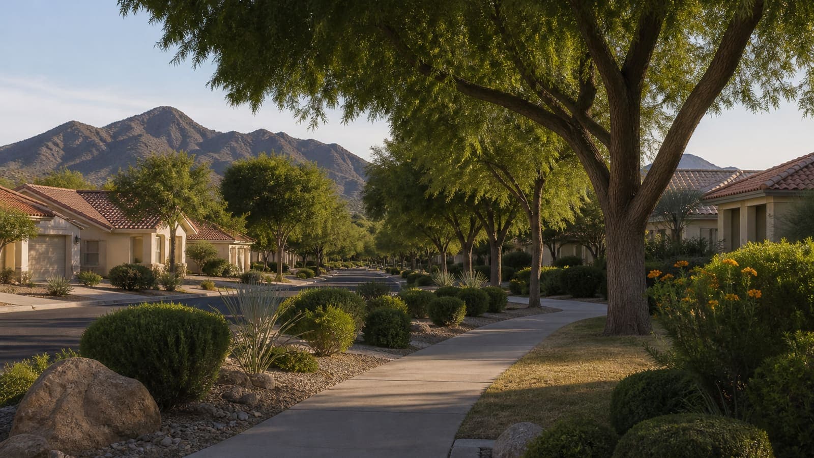Tree-lined residential street in Green Valley, Henderson, Nevada with mountain backdrop